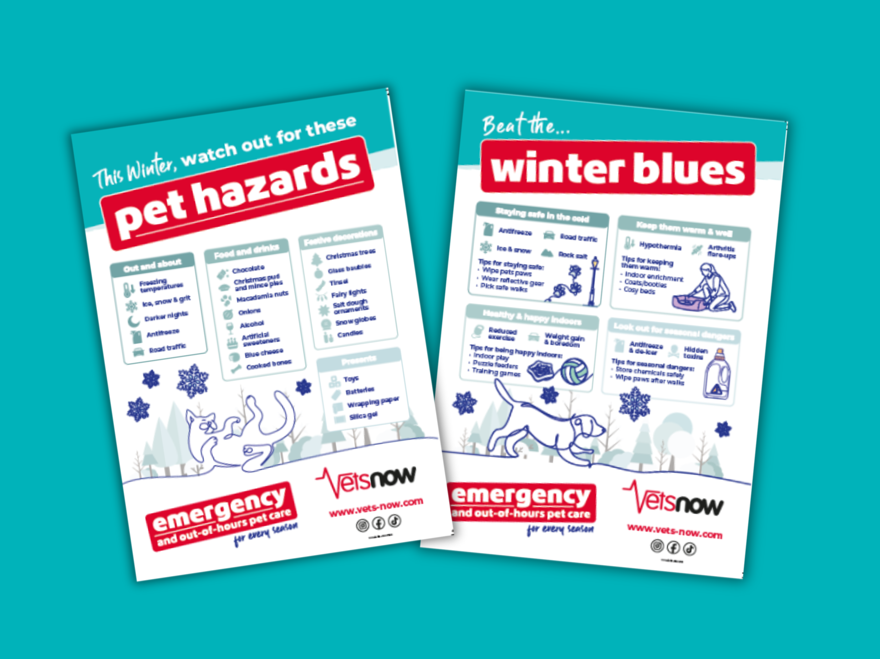 vets-now-connect-seasonal-posters preview image of vets now promotional posters