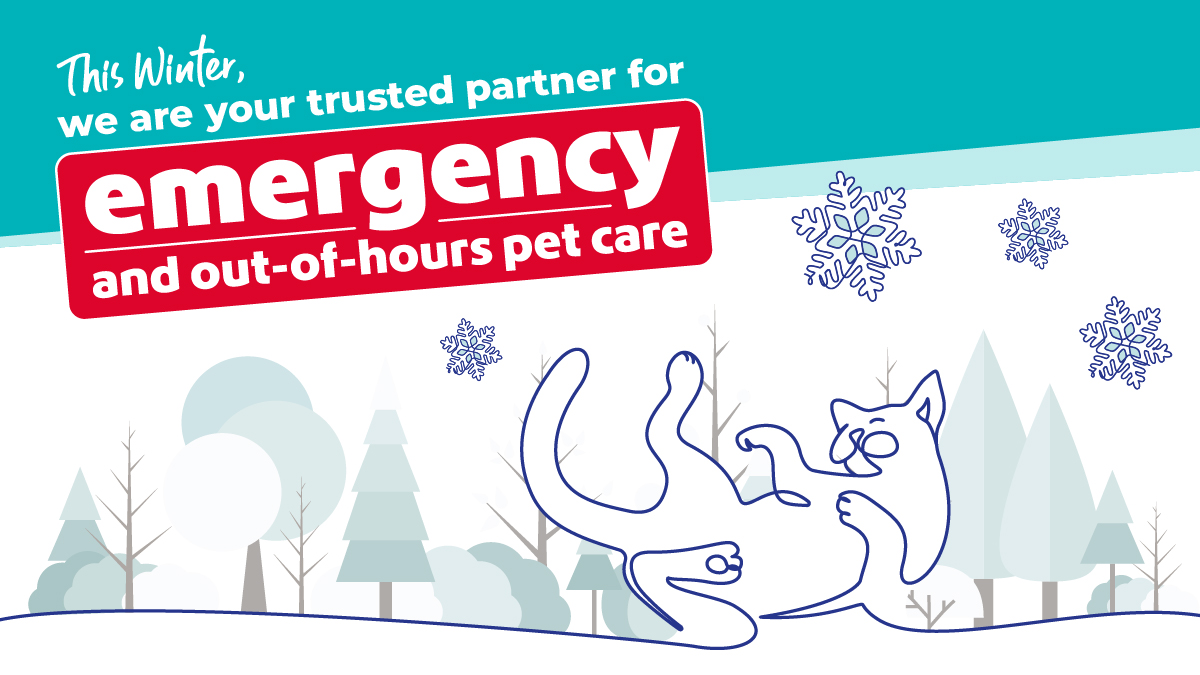 vets-now-professionals-winter-2025 Vets Now winter banner promoting emergency and out-of-hours pet care