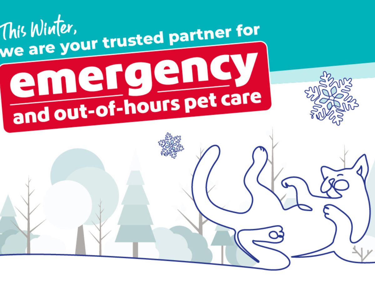 vets-now-winter-2026