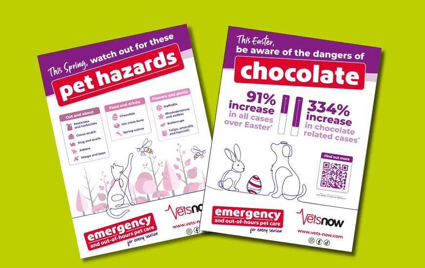 Two spring pet safety posters from Vets Now covering and seasonal hazards.