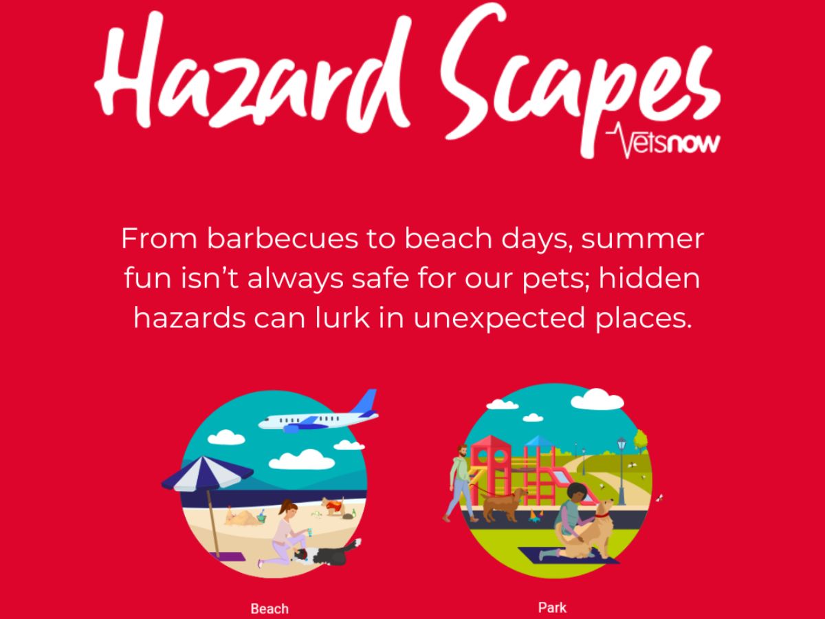 vets-now-hazrad-scape-graphic