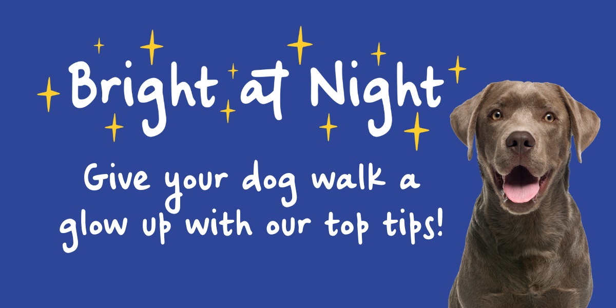 Vets-Now-PO-Autumn-Hub-Bright-At-Night