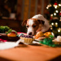 Image of a dog stealing food from a table for Vets Now's Christmas hub