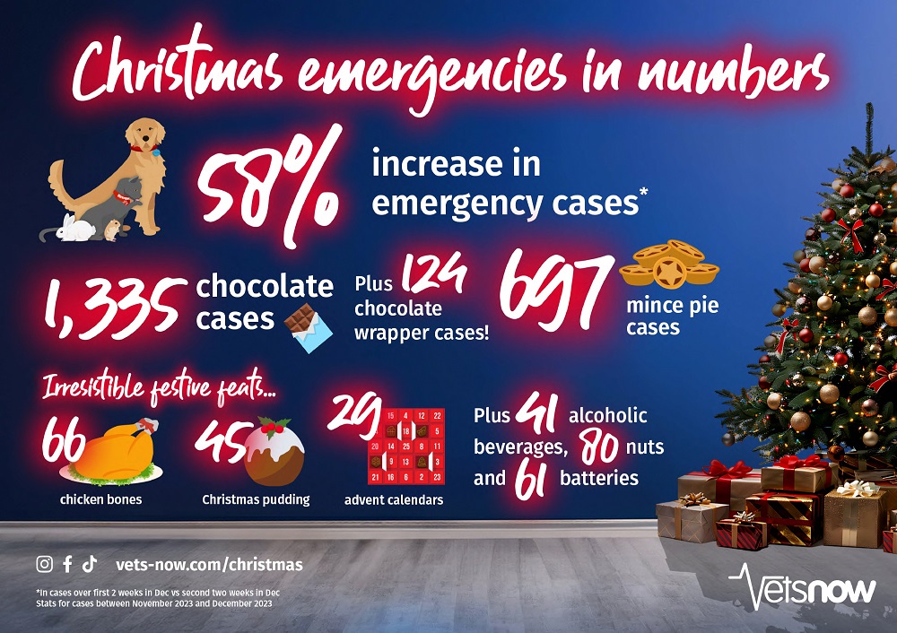 Vets-Now-Christmas_2024-Hazards