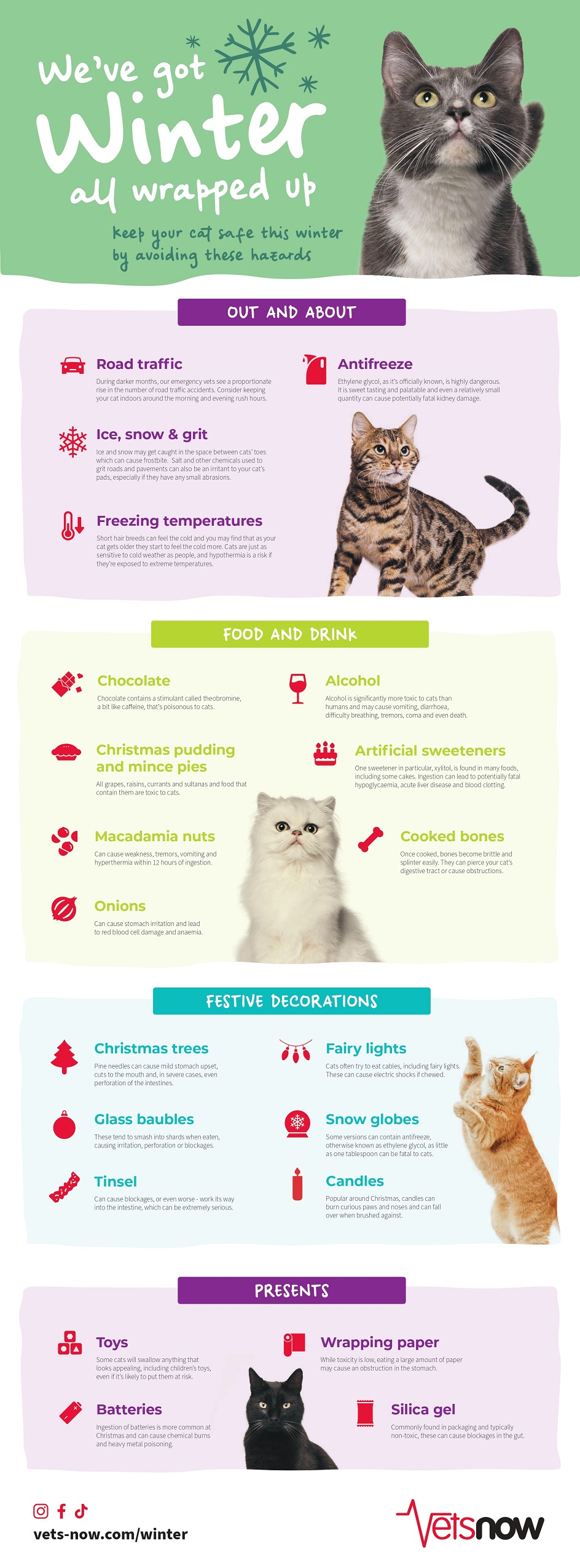 Vets-Now-Winter-Infographic-Cats-2024