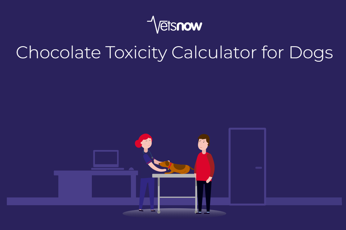 New-Choc-Calculator