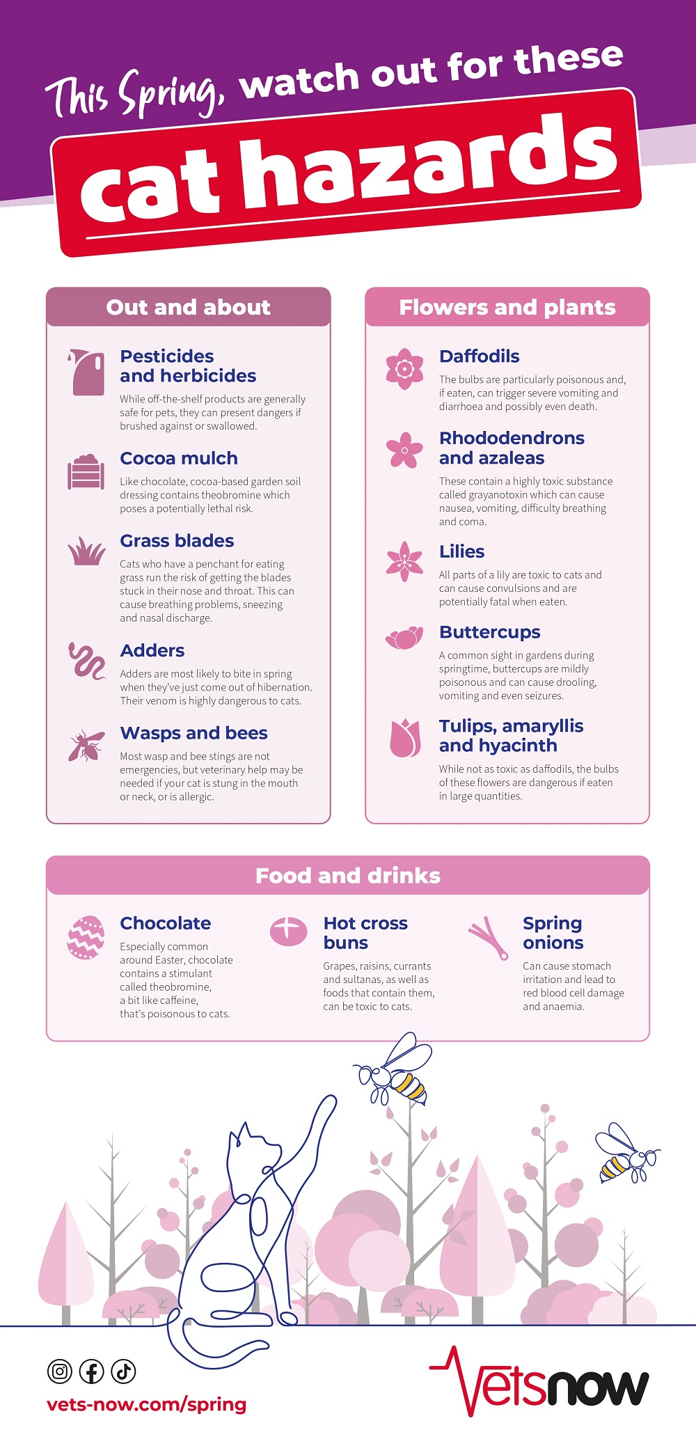 Vets-Now-Spring-Cat-PDF-2025