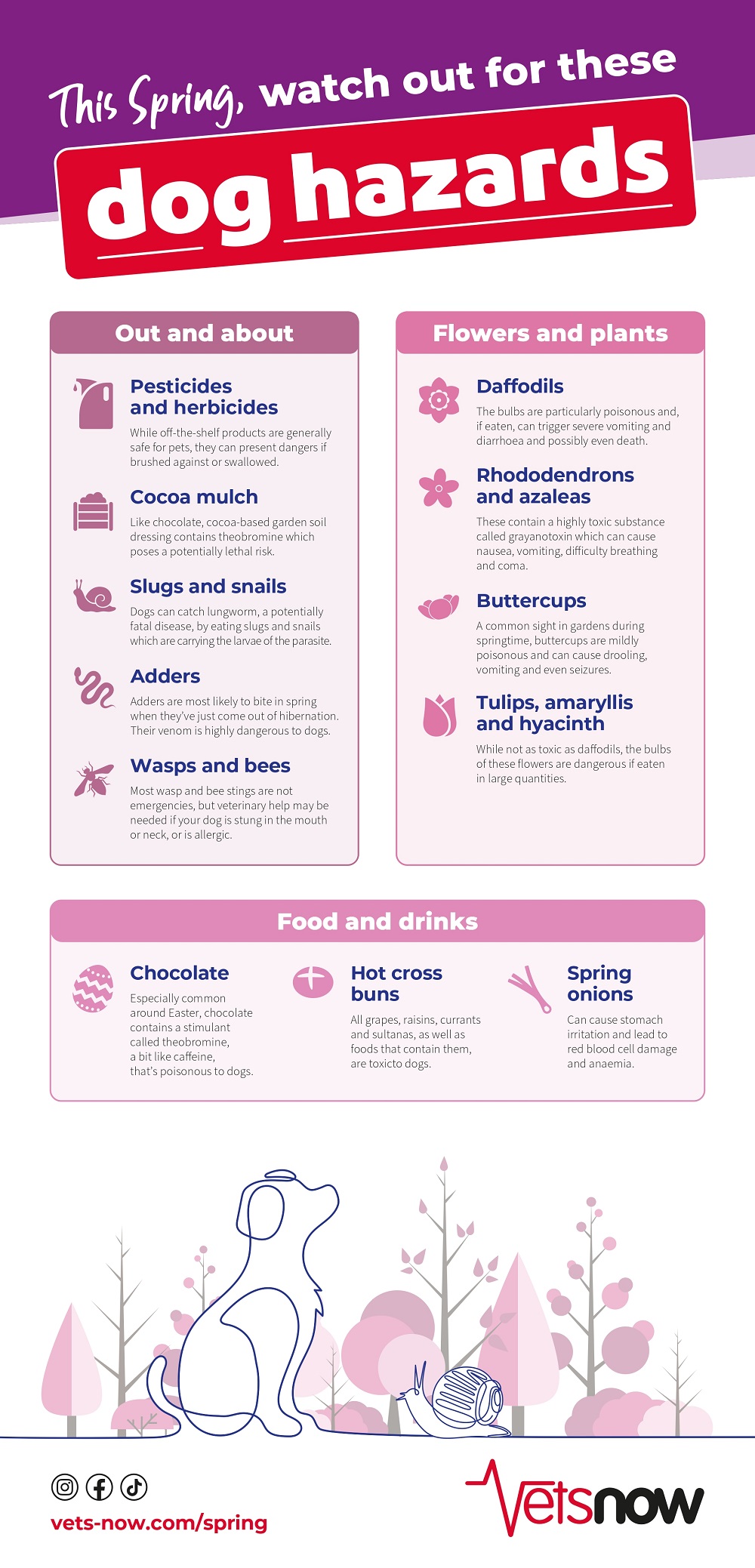 Vets-Now-Spring-Dog-PDF-2025
