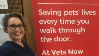 An image of Stephanie Timmons, a Cutting Edge alumni and Senior vet in our Bournemouth clinic, standing in front of an Edge banner at a career's fair for Vets Now article on Cutting Edge senior vet
