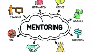 An image of a mentoring chart showing the different facets involved in mentoring for Vets Now article on mentoring