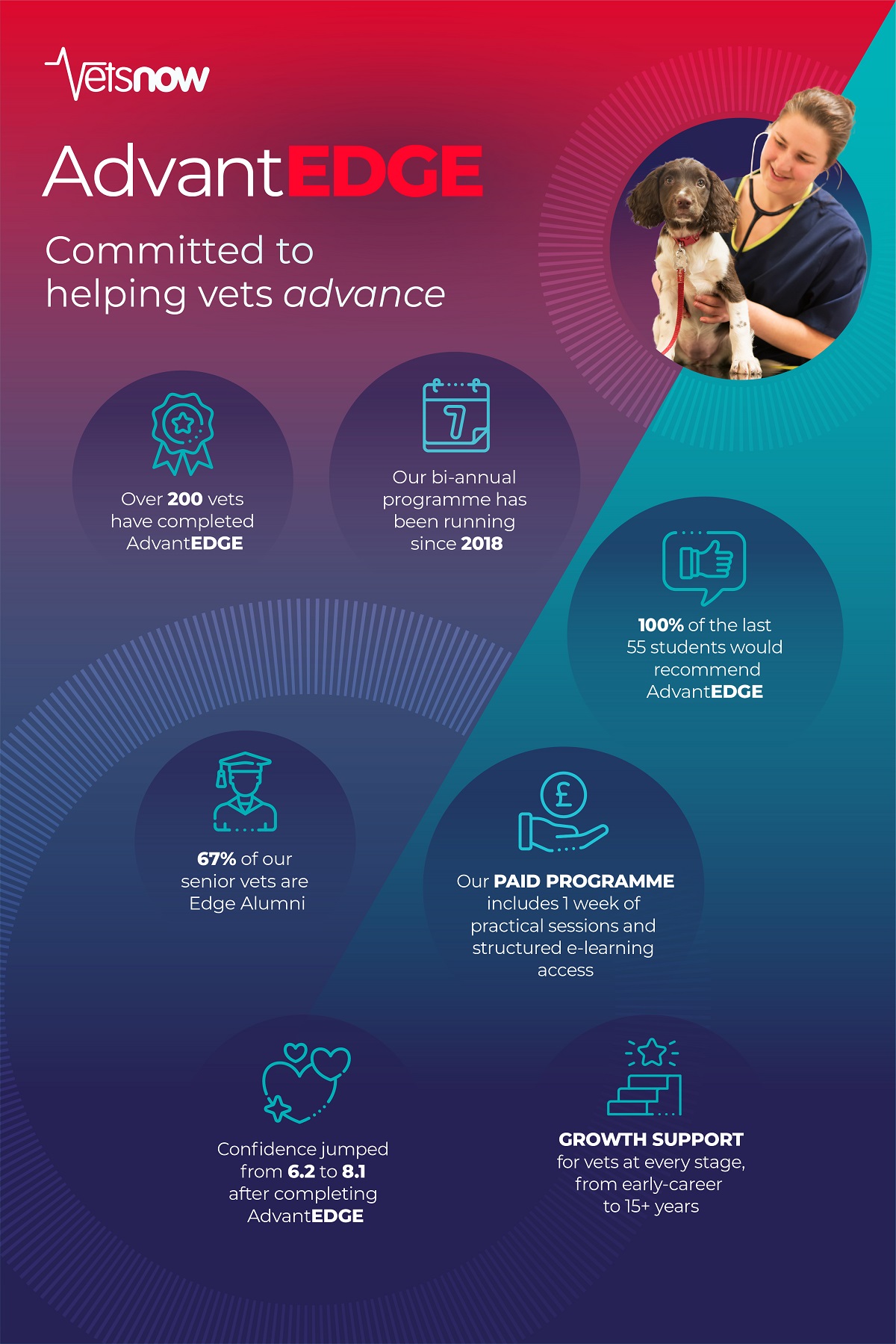 Vets-Now_AdvantEdge_benefits_infographic