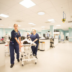 Image of veterinary internships Internships in our 24/7 emergency and specialty hospitals