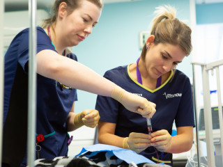 Vets Now Resident Neus Santo-Domingo Two veterinary professionals draw blood from a syringe in a clinical setting. Both wear navy uniforms with