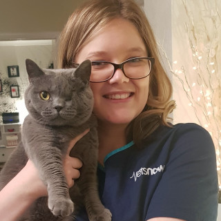 A gray cat with one eye is held by a smiling person in glasses, wearing a blue shirt with 