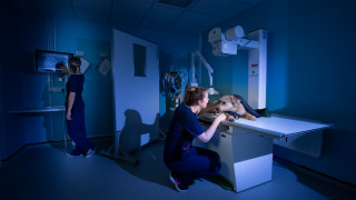 Image of Vets Now nurses working at night for post on flexible working jobs