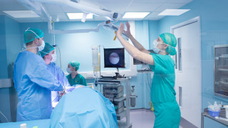 Image of vet surgeons for Vets Now article on specialist vets