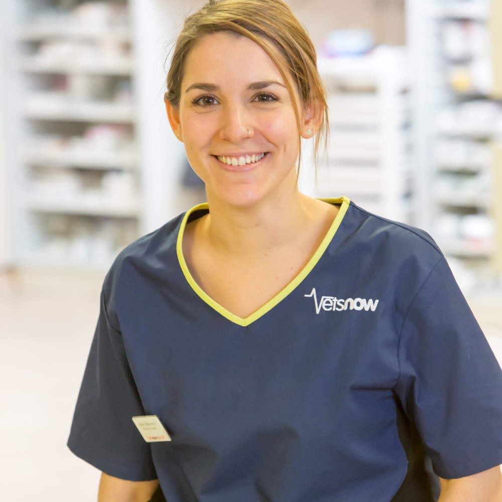 Neus EliasSanto Domingo Vets Now