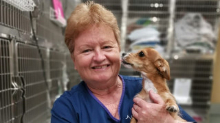 Why Caroline Went from Teaching To Helping Pets
