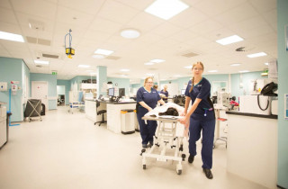 Vets Now Emergency & Critical Care Vet Nursing Emergency & Critical Care veterinary nursing at Vets Now