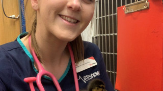 Faye in the Vets Now clinic holding a chick
