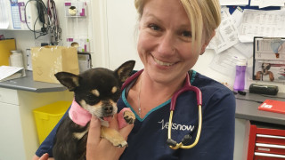 Head nurse Claire in the clinic holding her Chihuahua