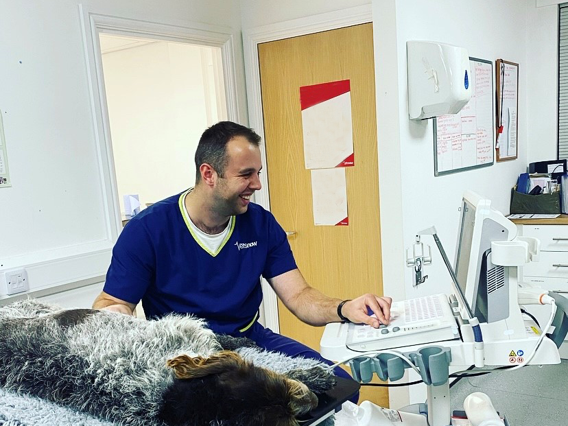 Senior vet Sam in the clinic A veterinarian in blue scrubs operates an ultrasound device beside a dog lying on a table in a clinical setting. Walls display paperwork and medical equipment.