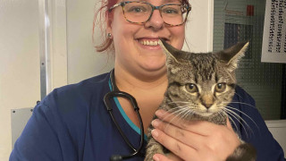 Vets Now Colchester nurse Gemma Rudd holding a kitten