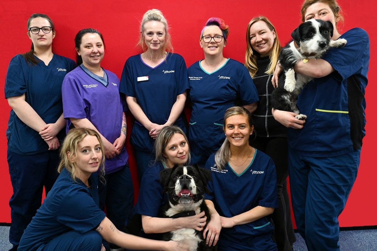 Vets-Now Team A group of nine people, mostly in veterinary uniforms, pose with two dogs in front of a bright red backdrop. Uniforms read