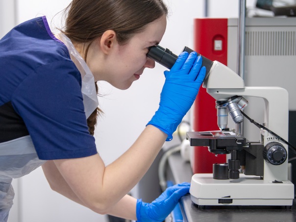 A vet clinician looking through a microscope in a Vets Now clinic