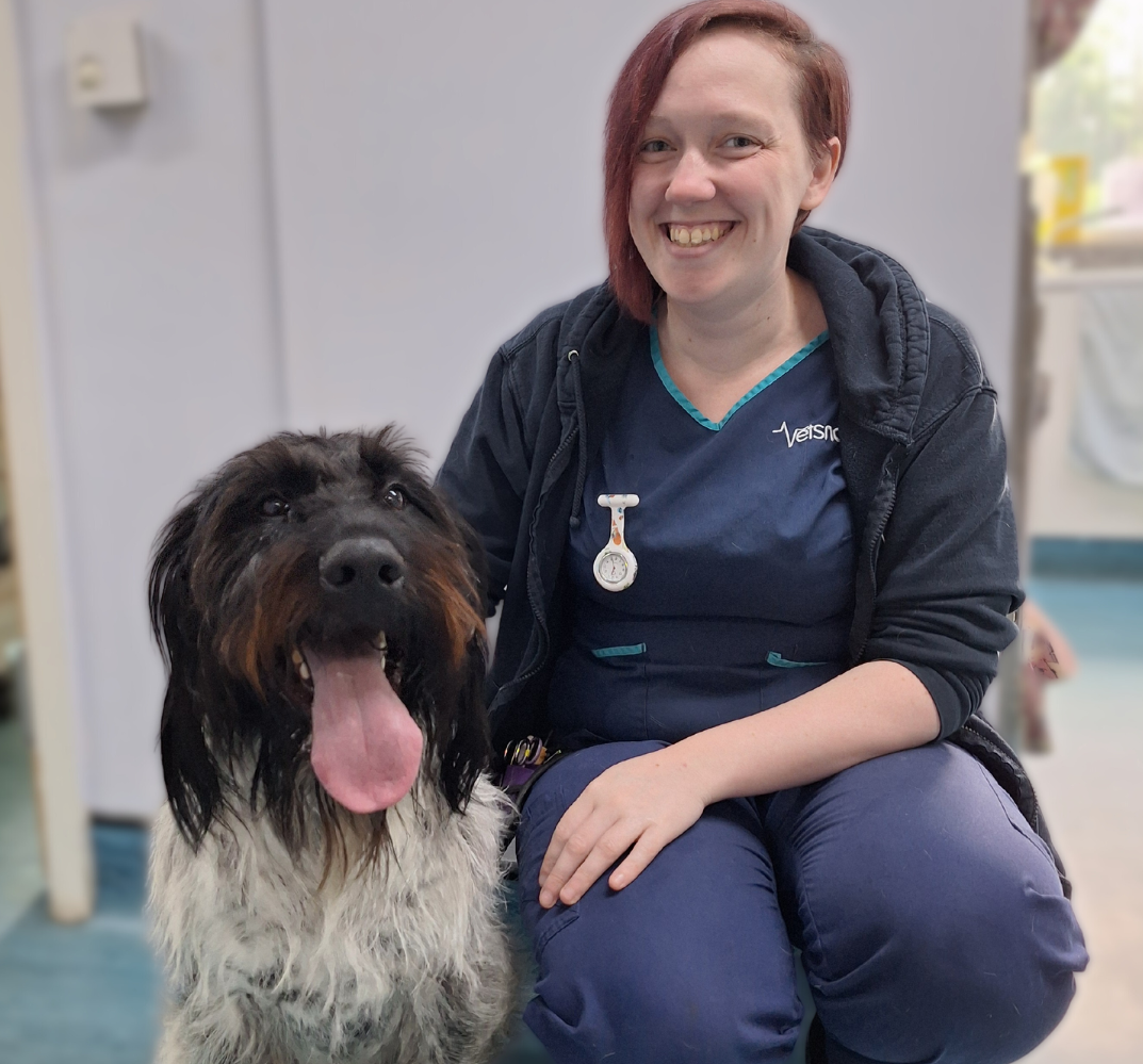 RVN Katie Butterfield with a large dog