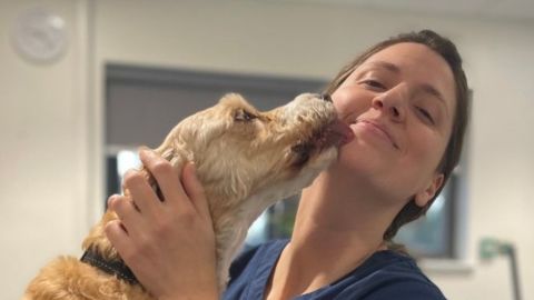 A veterinarian in a Vets Now uniform smiling as a happy dog licks her face in a warm moment in the clinic.