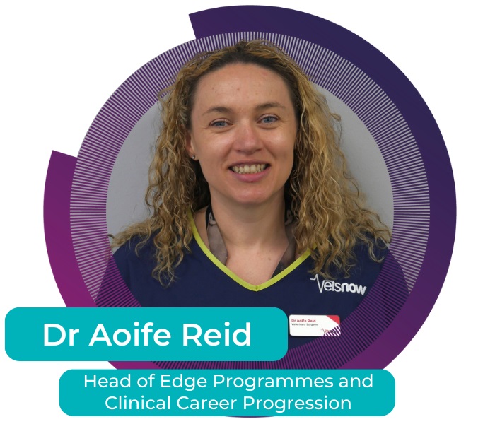 Portrait of Dr. Aoife Reid, Head of Edge Programmes and Clinical Career Progression at Vets Now, smiling in a blue uniform.