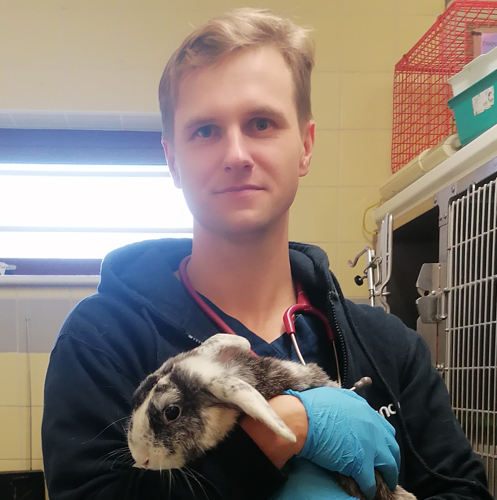 Veterinary surgeon Maciej Ligus in clinic holding a rabbit