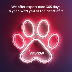 Neon paw logo with the Vets Now branding and message offering expert care every day of the year.