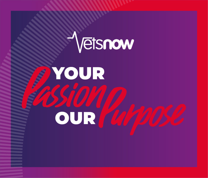 vet-now_careers_graphic Promotional graphic for Vets Now careers featuring the slogan 'Your Passion Our Purpose' with the Vets Now logo on a purple background