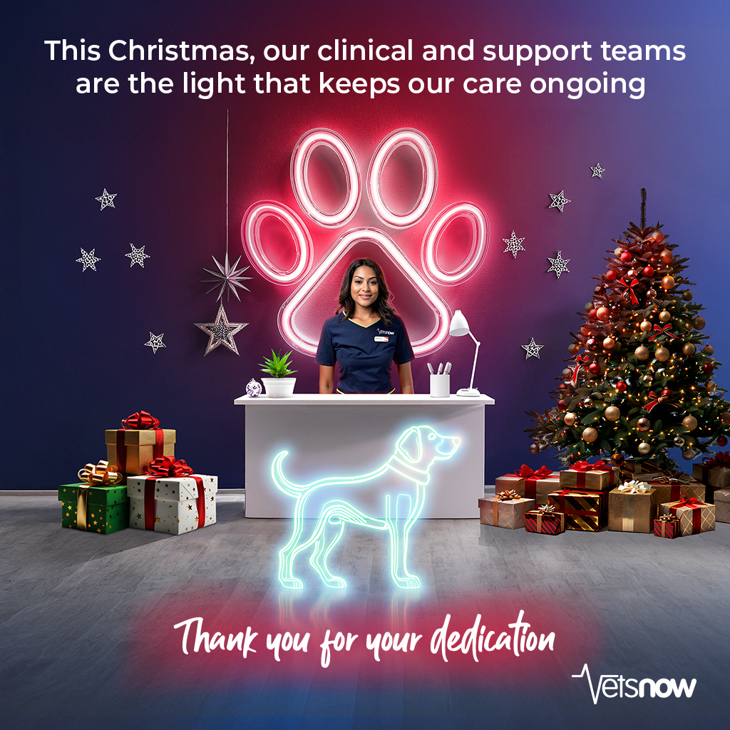 Vets Now Christmas graphic showing a smiling team member behind a reception desk with neon dog and paw print lights.