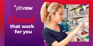 Vets Now nurse reviewing medications on a well-stocked pharmacy shelf in a clinical environment.