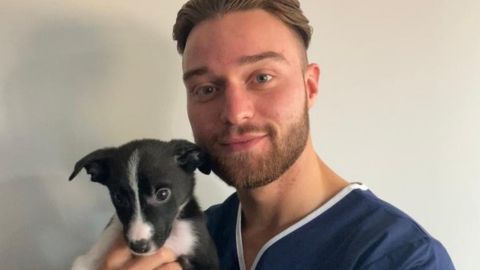 A vet in scrubs holding a puppy