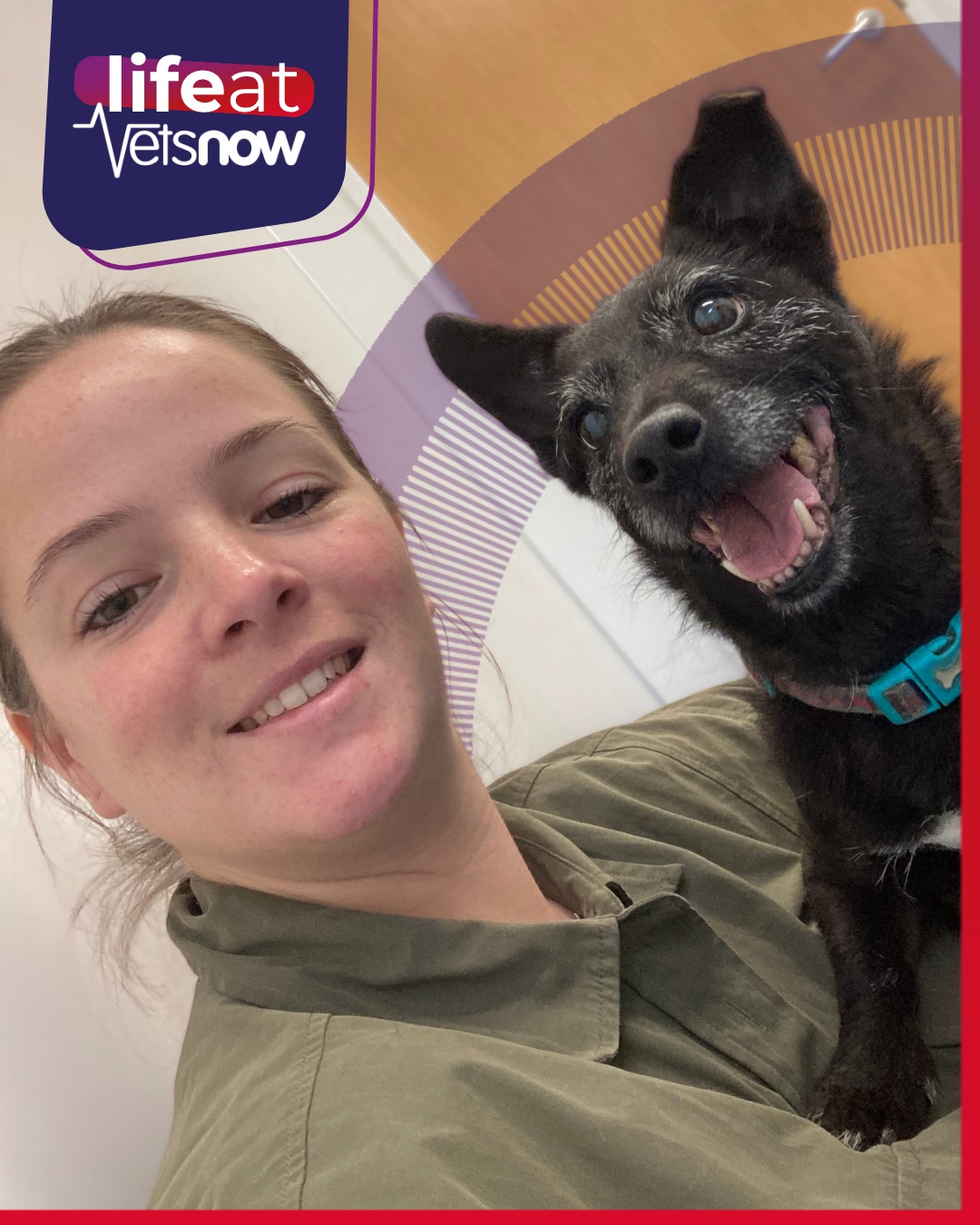 Nina Seib, Vets Now Area Director, smiling with a senior dog patient, Life at Vets Now branding