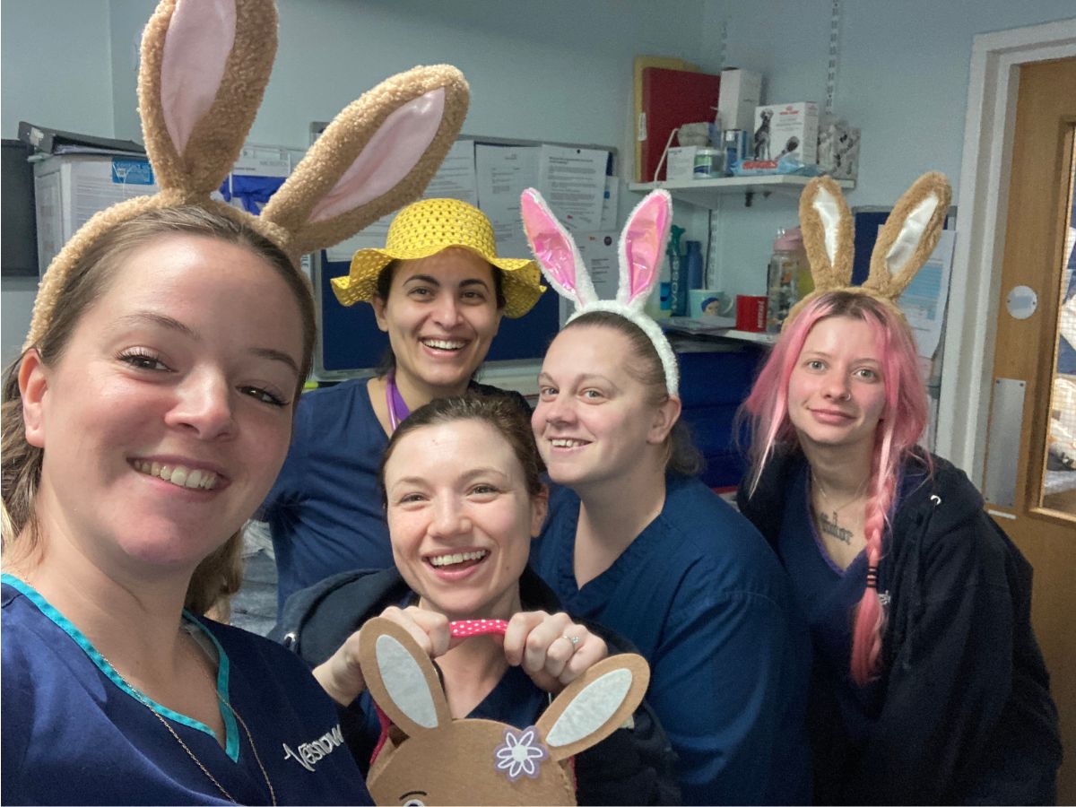 Nina Seib and her Vets Now clinic team wearing bunny ears for an Easter celebration