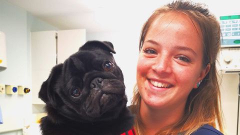 Vets Now nurse smiling with a black pug patient wearing a red collar
